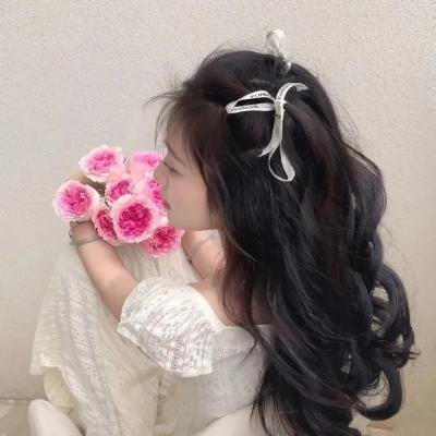 燕子盗