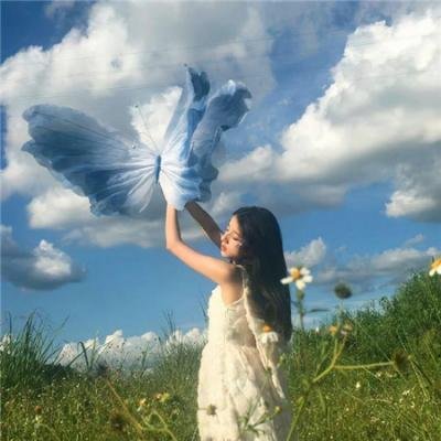 回到凤凰桥