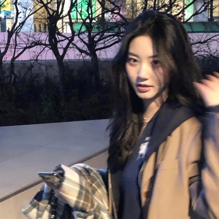 灵书妙探第五季